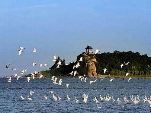 北戴河旅游爆料最新消息,最新爆料揭示热门景点与活动！  第1张