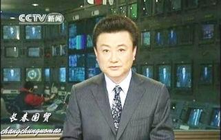 爆料王宁新闻最新消息,揭秘娱乐圈惊人内幕  第2张